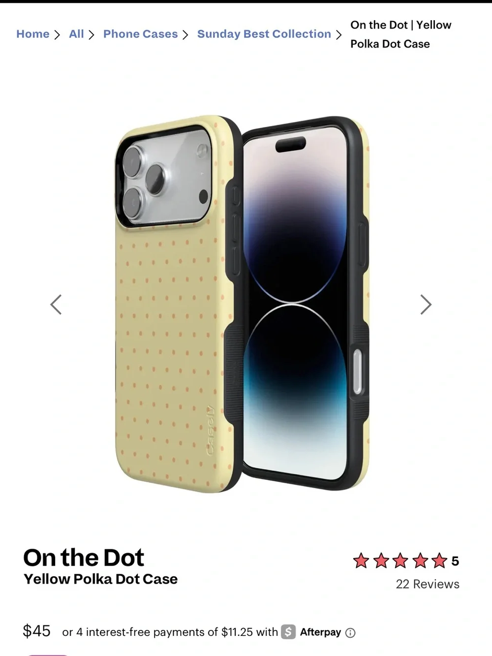 Casely - on the dot case